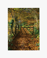 Gate and Autumn Leaves mount